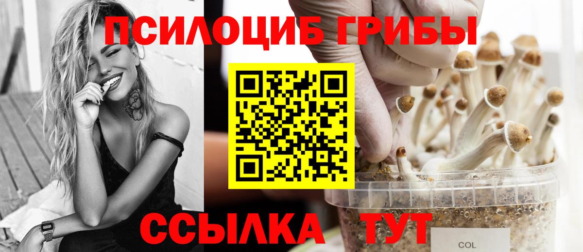 Псилоцибиновые грибы мицелий  Галлюциногенные грибы Cubensis  Свободный  Вход с VPN 